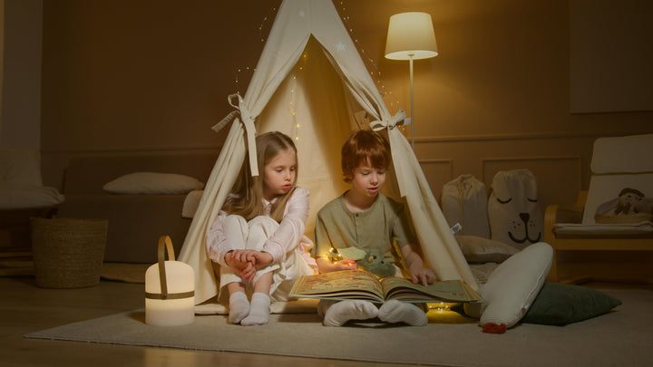 Indoor Play Toys