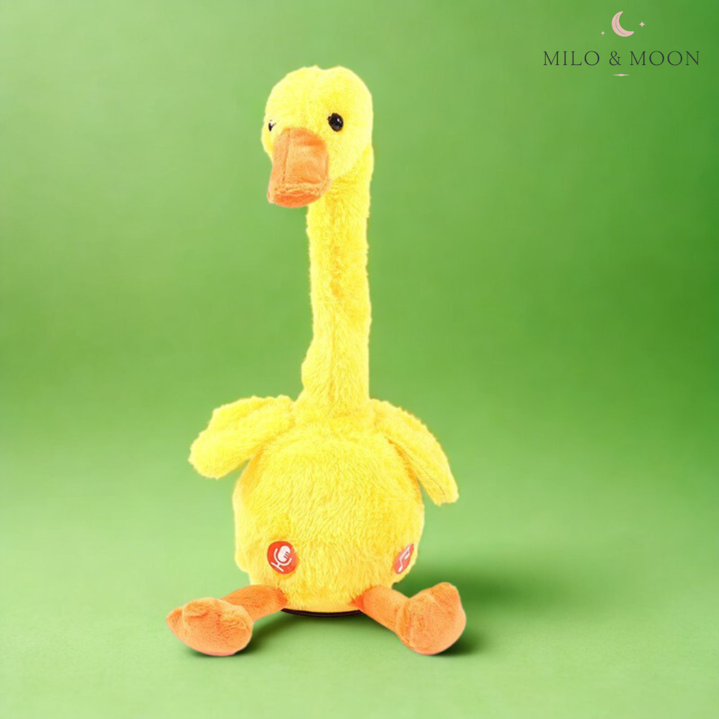 GigglyCactus™ – The talking, dancing cactus