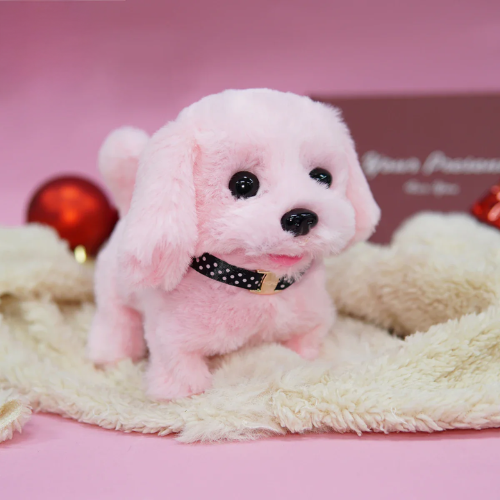 Hopy & Kwisply™ – Your Favorite Pets