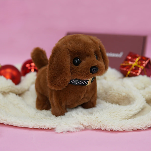 Hopy & Kwisply™ – Your Favorite Pets