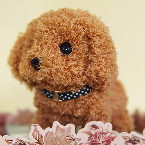 Hopy & Kwisply™ – Your Favorite Pets