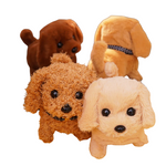 Hopy & Kwisply™ – Your Favorite Pets