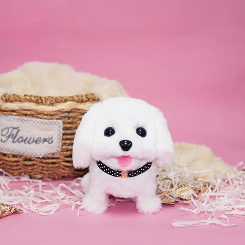 Hopy & Kwisply™ – Ihre Lieblingshaustiere