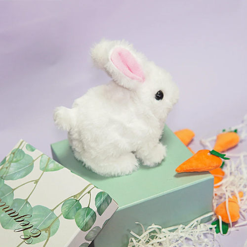 Hopy & Kwisply™ – Ihre Lieblingshaustiere