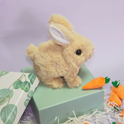 Hopy & Kwisply™ – Ihre Lieblingshaustiere