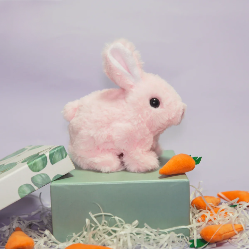 Hopy & Kwisply™ – Ihre Lieblingshaustiere