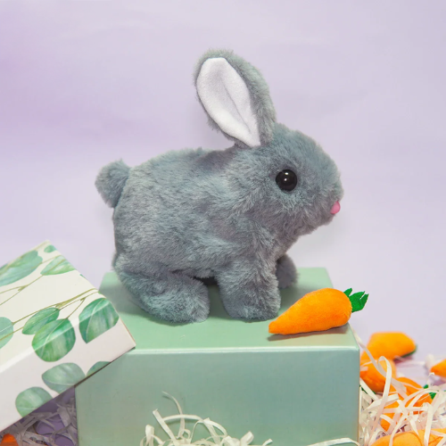 Hopy & Kwisply™ – Ihre Lieblingshaustiere