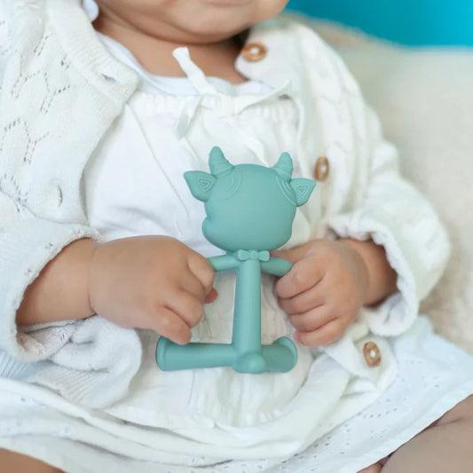 Baby-Beißspielzeug