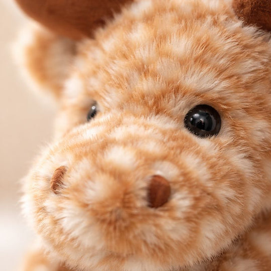 Océane — Liten brun älg